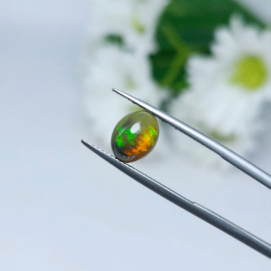 Thaigems พลอยโอปอล (Opal)