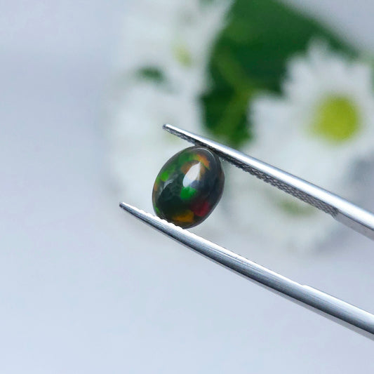 Thaigems พลอยโอปอล (Opal)