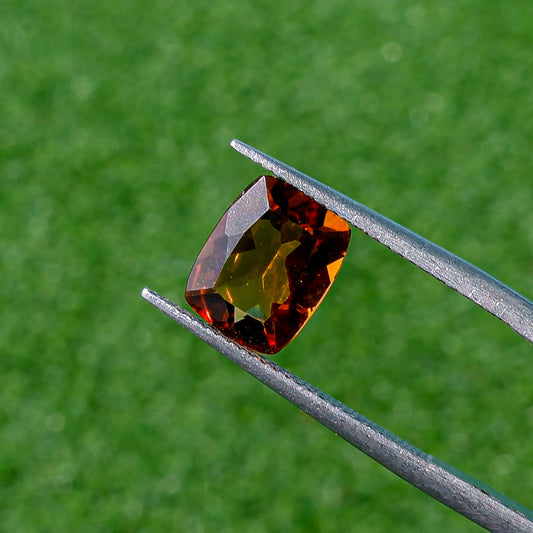 Thaigems พลอยซิทริน (Citrine)